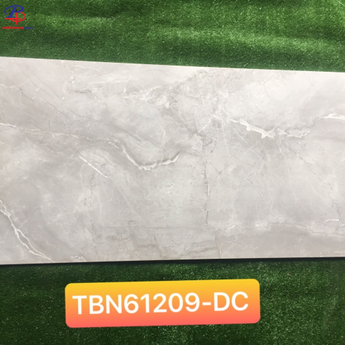 G60120-TBN61209DC