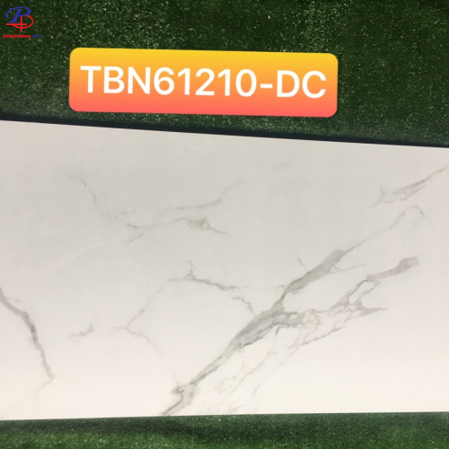 G60120-TBN61210DC