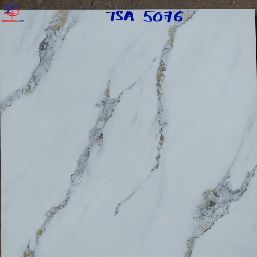 G6060-TSA5076