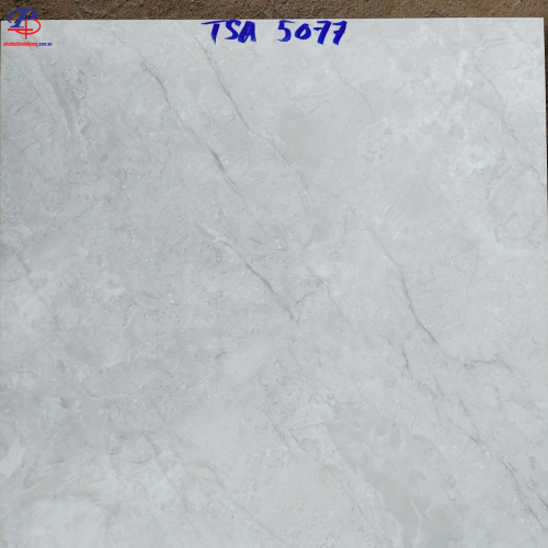 G6060-TSA5077