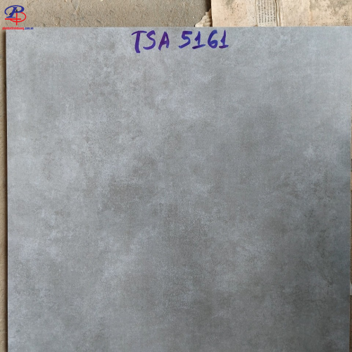 G6060-TSA5161