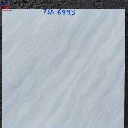 G6060-TSA6993