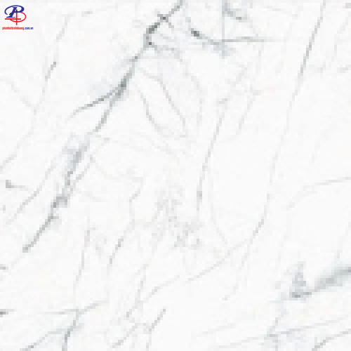 G3060-G63905