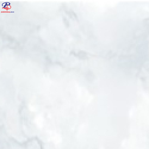 G3060-G63955