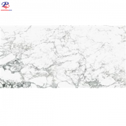 G3060-G63965