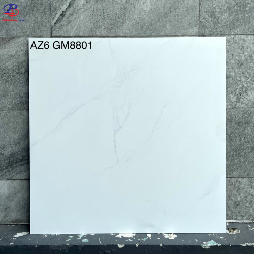 G8080-AZ6-GM8801