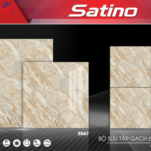 G8080-STN9268