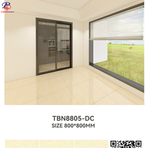 G8080-TBN8805DC