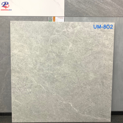 G8080-UM802