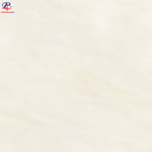 G3060-GP63830