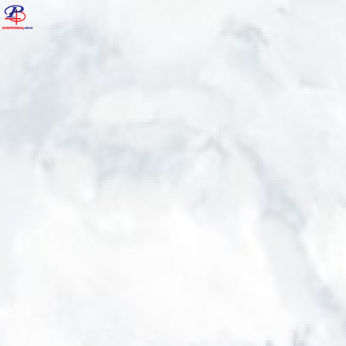 G3060-GP63955