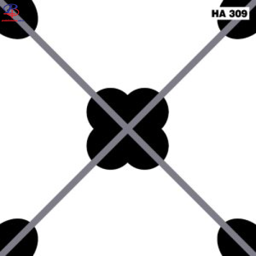 G3030-HA309