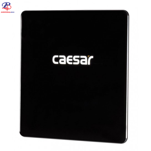 Bộ Xả Tiểu Cảm Ứng Caesar A654 Âm Tường