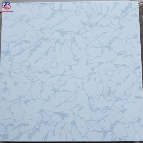 G4040-CBA41491