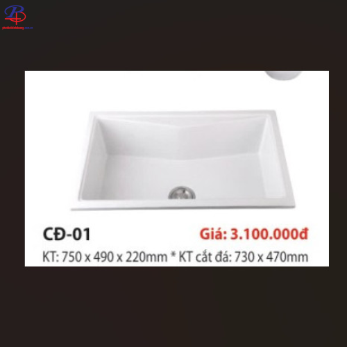 Chậu Chén CĐ - 01