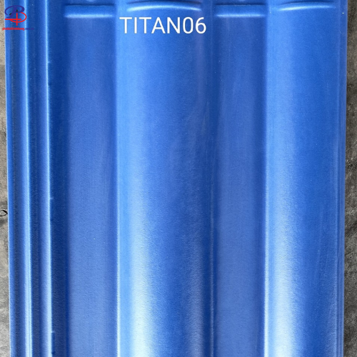 TiTan06