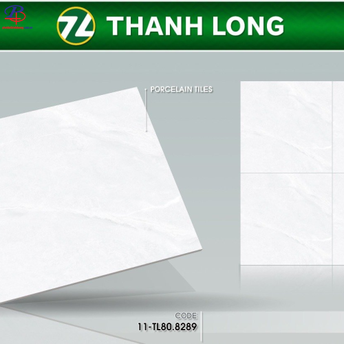 G8080-TL8289