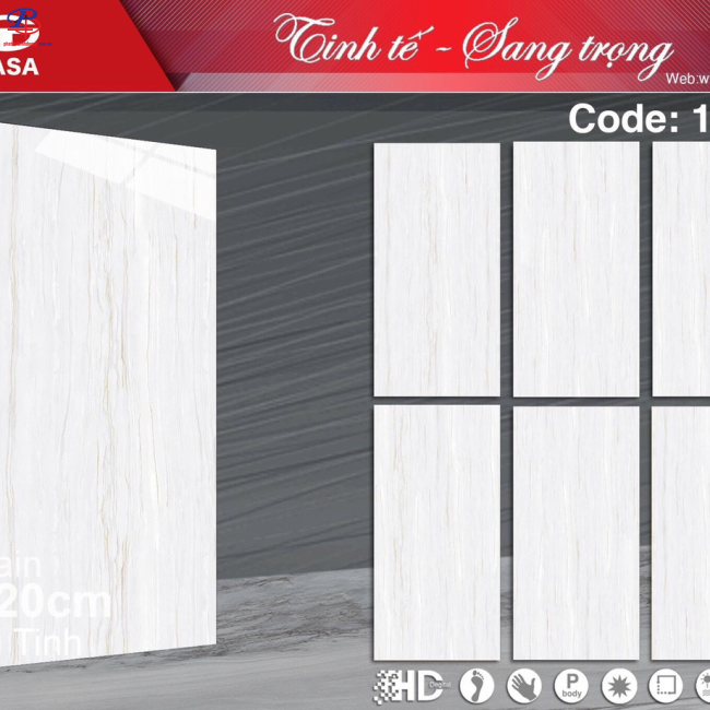 CÔNG TY PHÁT ĐẠT - ĐẠI LÝ CUNG CẤP GẠCH TASA TẠI BÌNH DƯƠNG