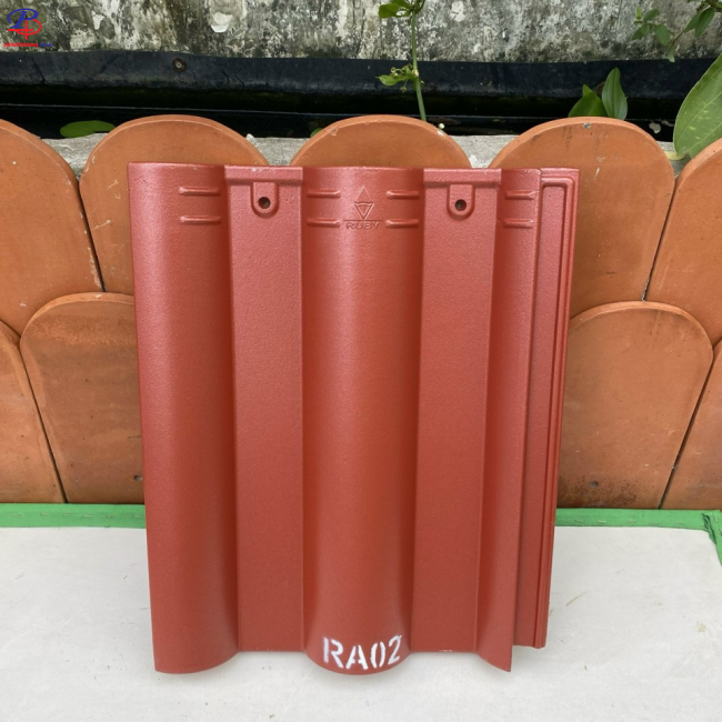  NGÓI RUBY  TẠI BÌNH DƯƠNG ĐẠI LÝ BÌNH DƯƠNG
