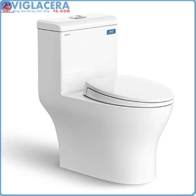 Thiết bị vệ sinh Viglacera tại DẦU TIẾNG