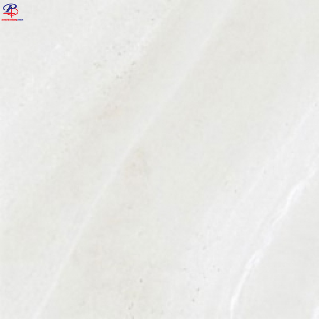 G6060-G68065
