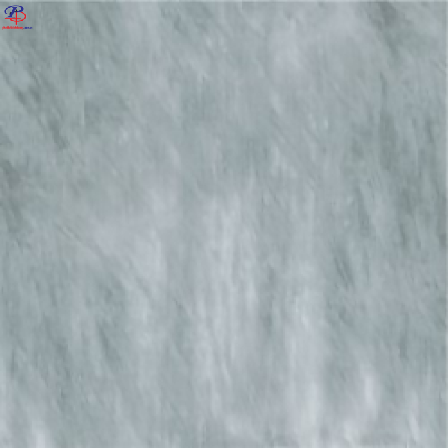 G6060-G68838