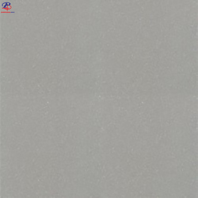 G6060-P67001N