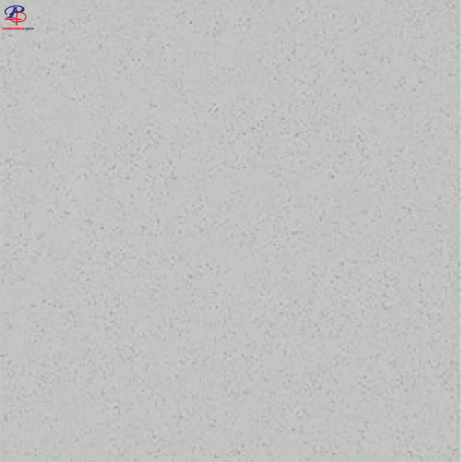 G6060-P67008N