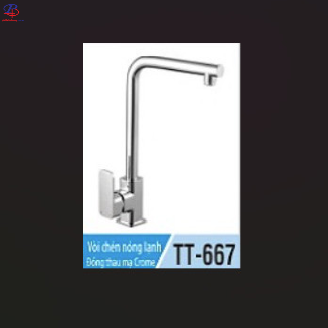 Vòi chén nóng lạnh TT-667