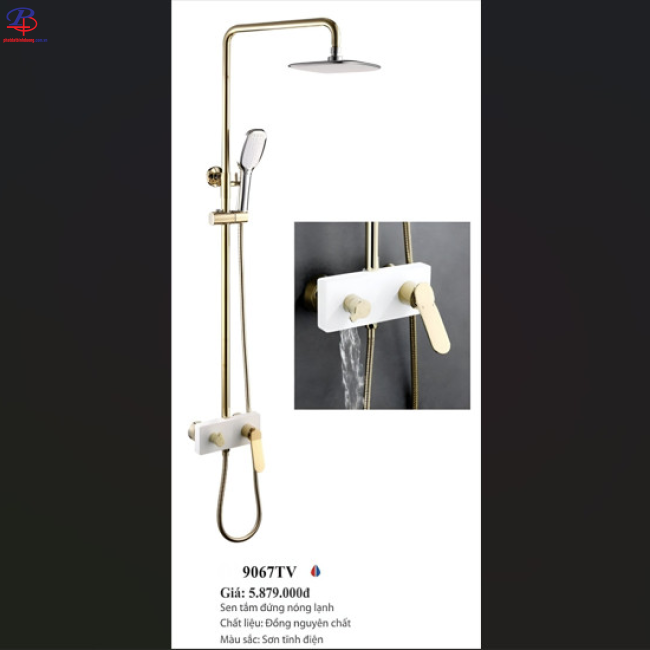 SEN CÂY NÓNG LẠNH CAO CẤP LI-9067TV