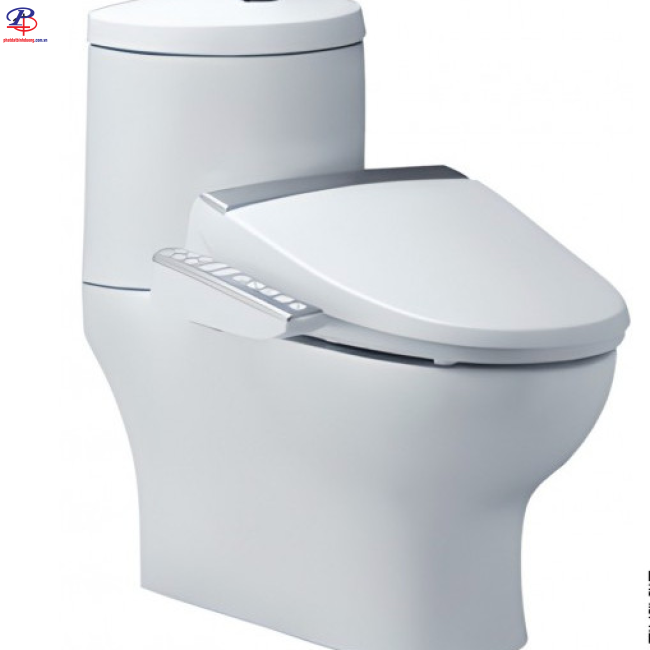Bồn Cầu Điện Tử CAESAR CD1341/TAF200H 2 Khối (Thiết bị vệ sinh chính hãng tại Bình Dương)