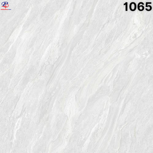 G100100-SA1065