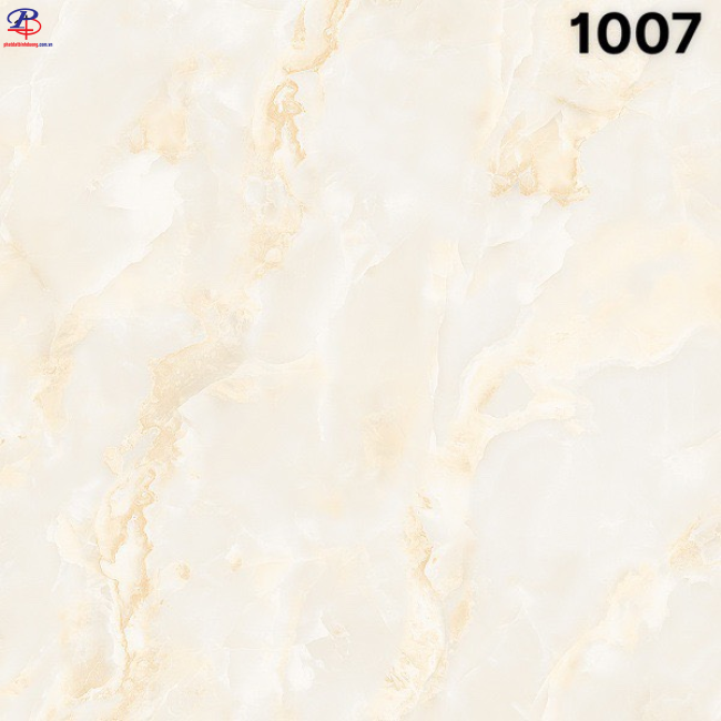 G100100-SA1007