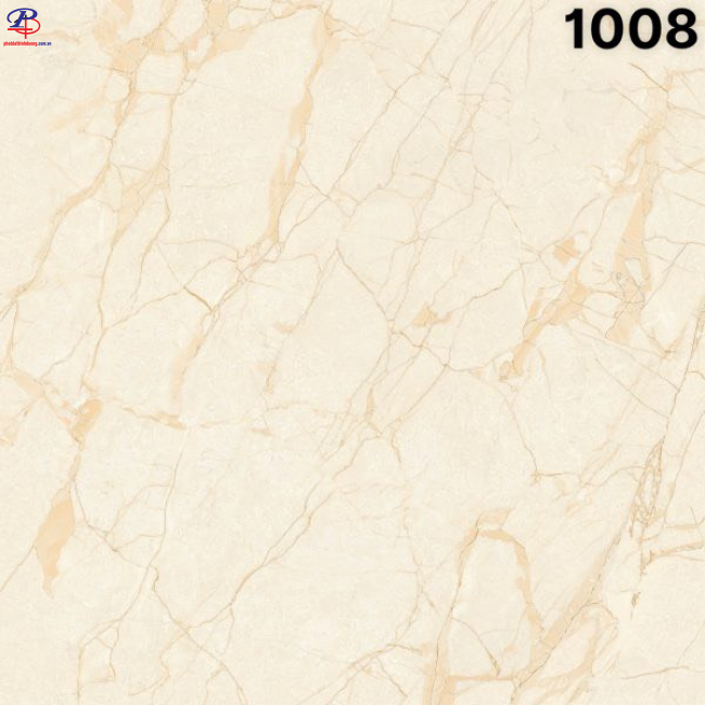 G100100-SA1008