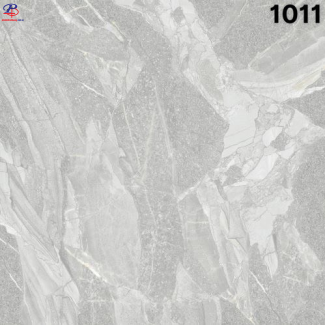 G100100-SA1011