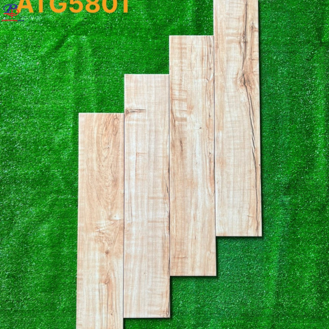 G1580-ATG5801