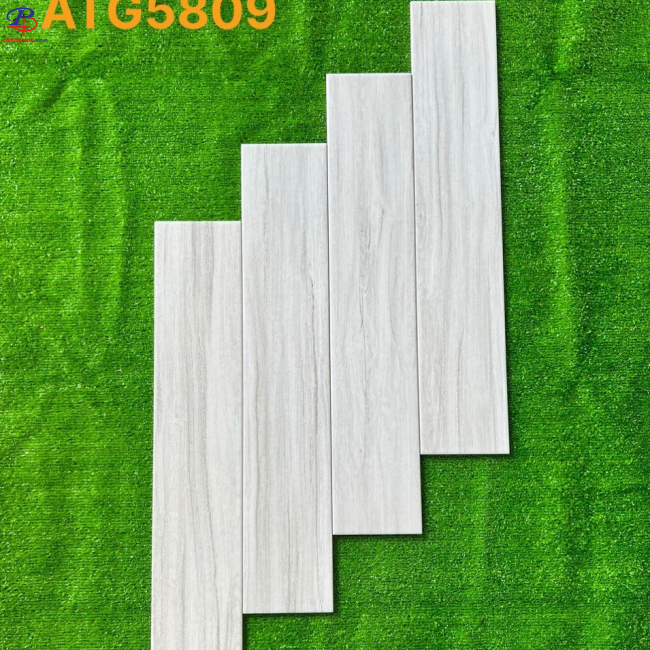 G1580-ATG5809
