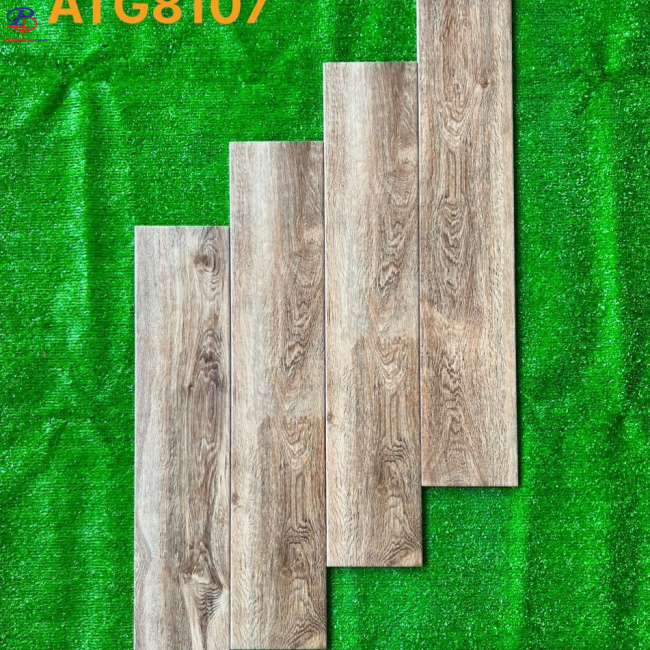 G1580-ATG8107