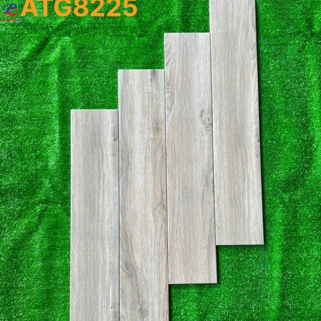 G1580-ATG8225