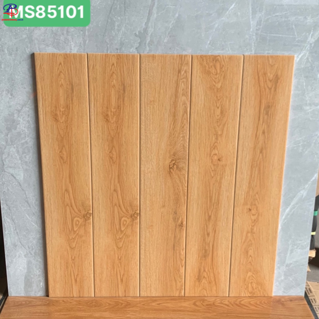 G1580-MS85101