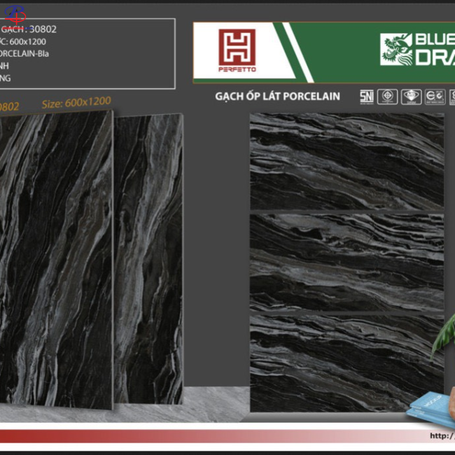 G60120-BD30802
