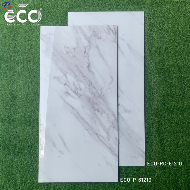 G60120-HT-P61210