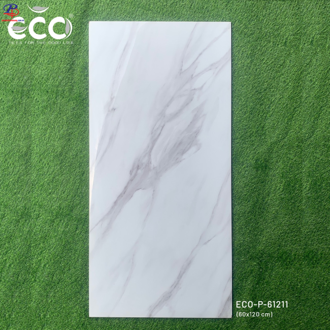 G60120-HT-P61211