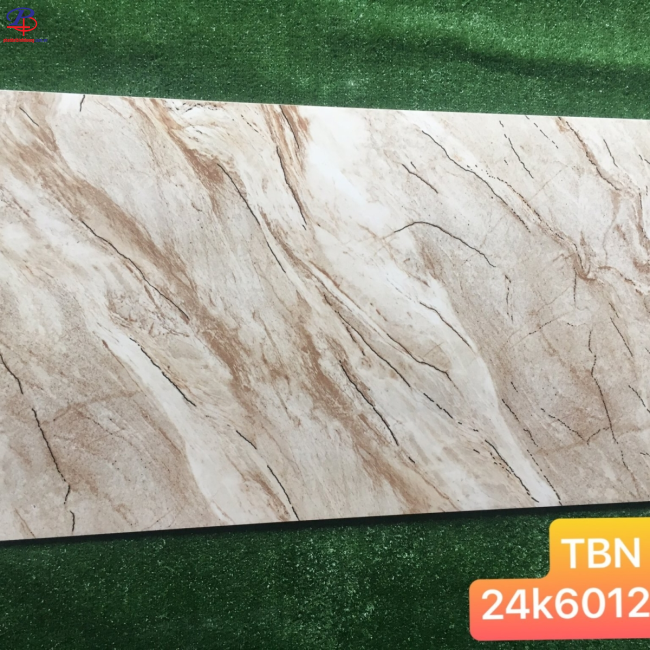 G60120-TBN6012901