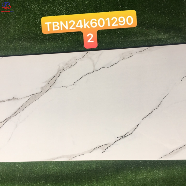 G60120-TBN6012902
