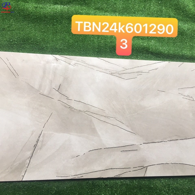 G60120-TBN6012903