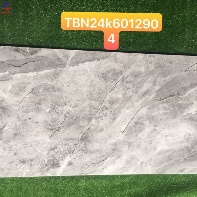 G60120-TBN6012904