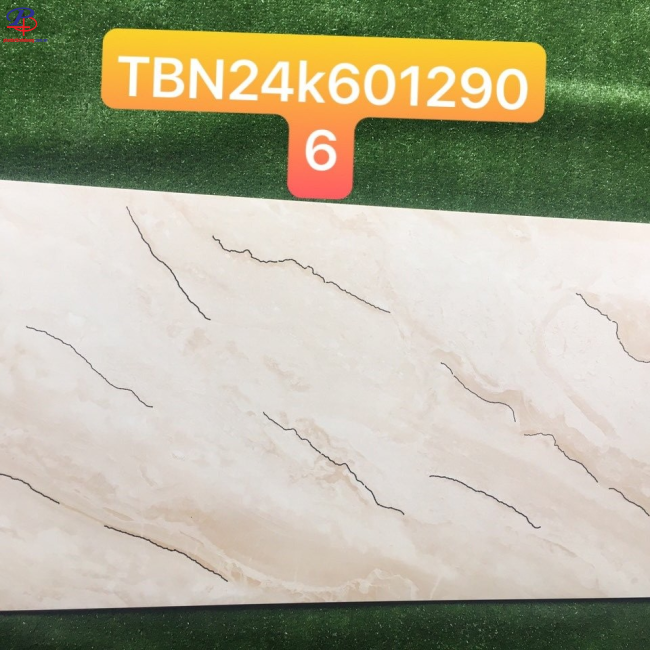 G60120-TBN6012906