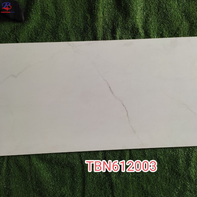 G60120-TBN61203DC
