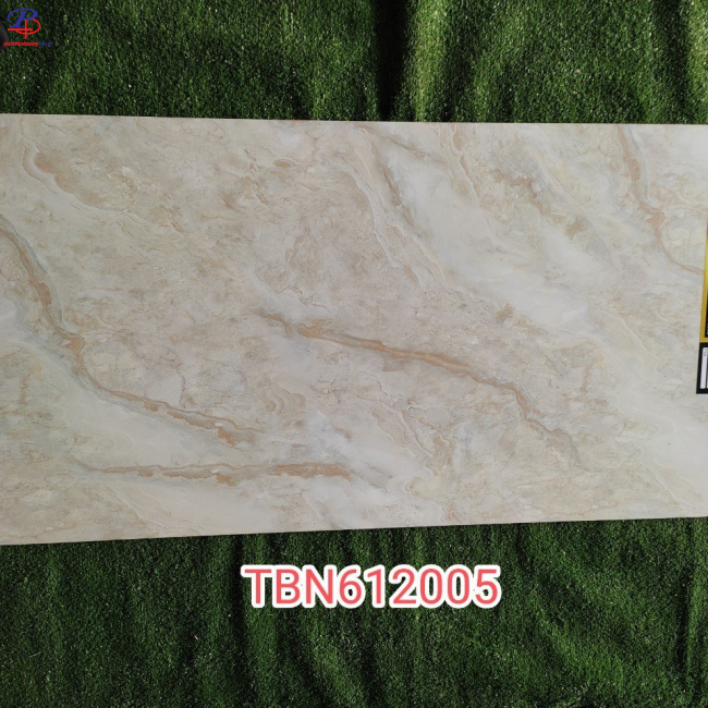 G60120-TBN61205DC